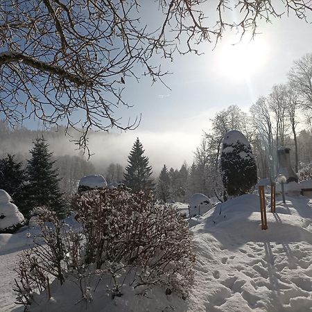 Pension Doro Černý Důl Exteriér fotografie