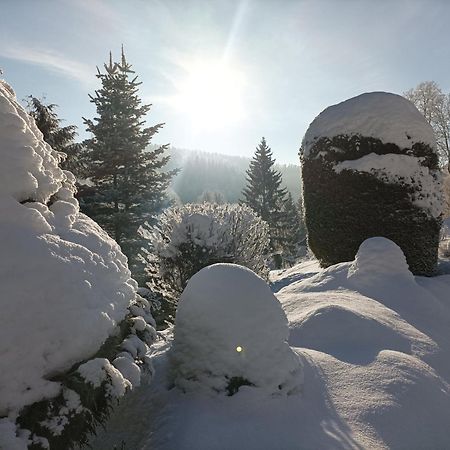 Pension Doro Černý Důl Exteriér fotografie