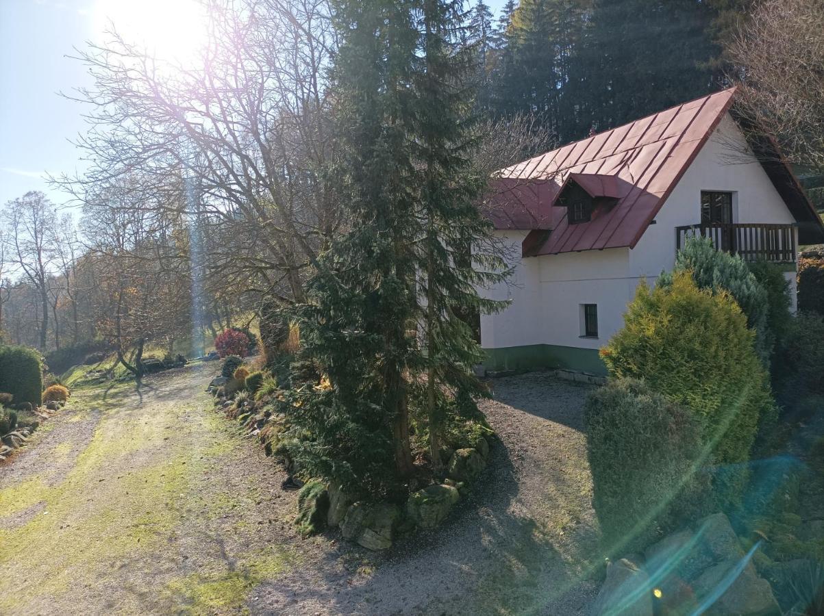 Pension Doro Černý Důl Exteriér fotografie