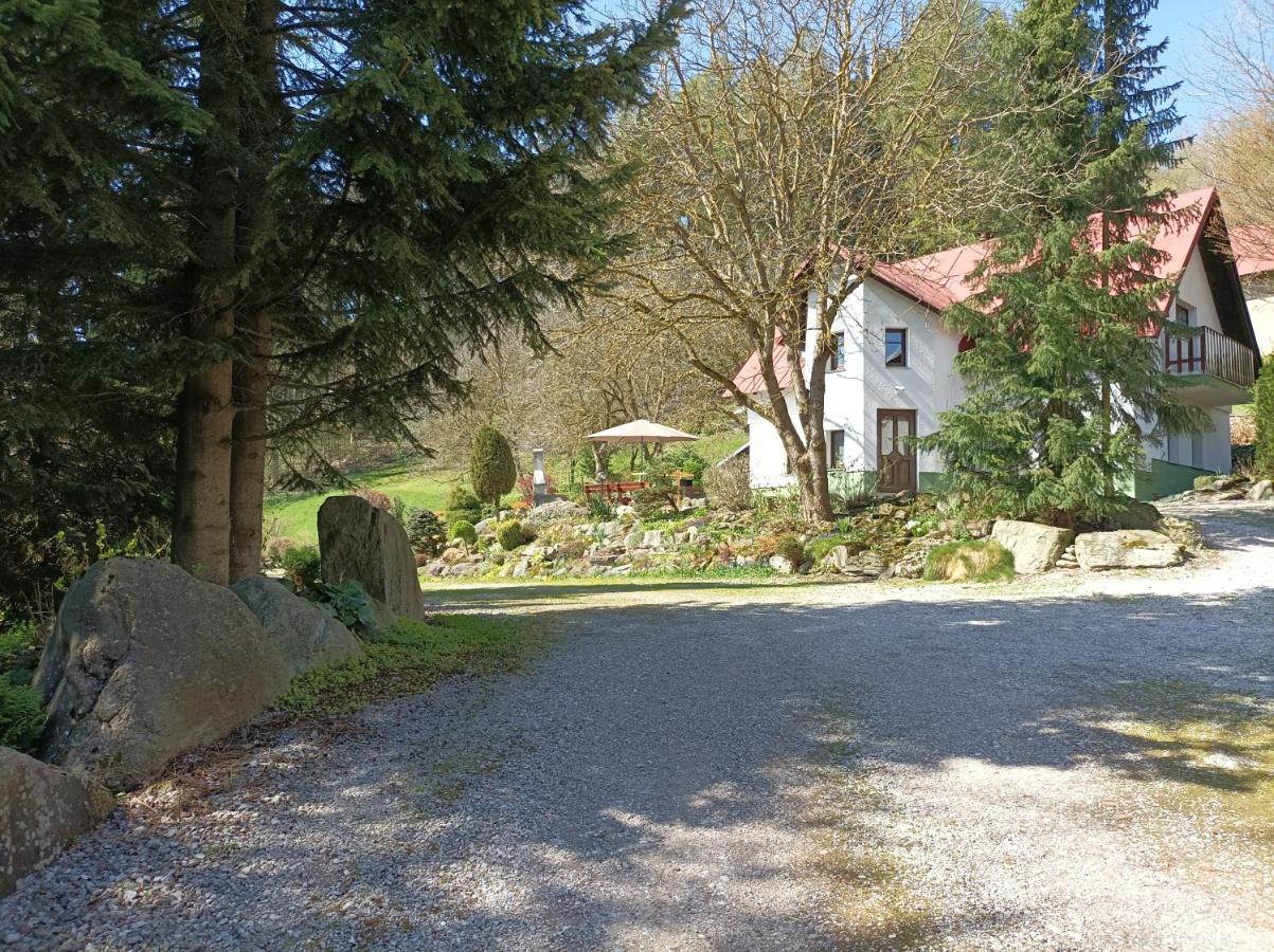 Pension Doro Černý Důl Exteriér fotografie