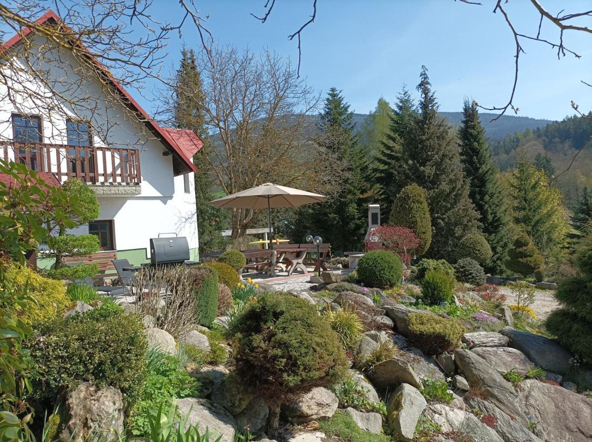 Pension Doro Černý Důl Exteriér fotografie