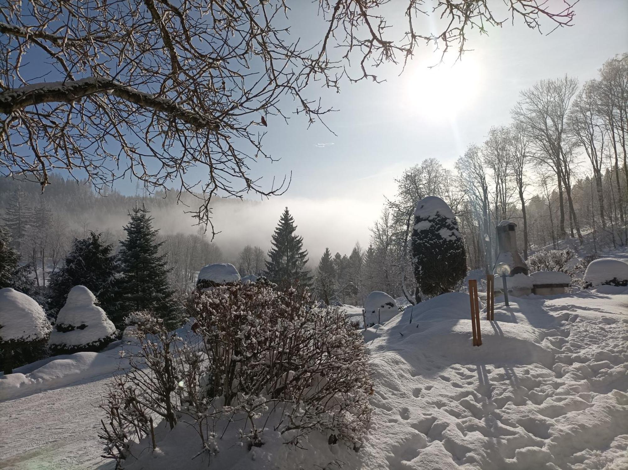Pension Doro Černý Důl Exteriér fotografie