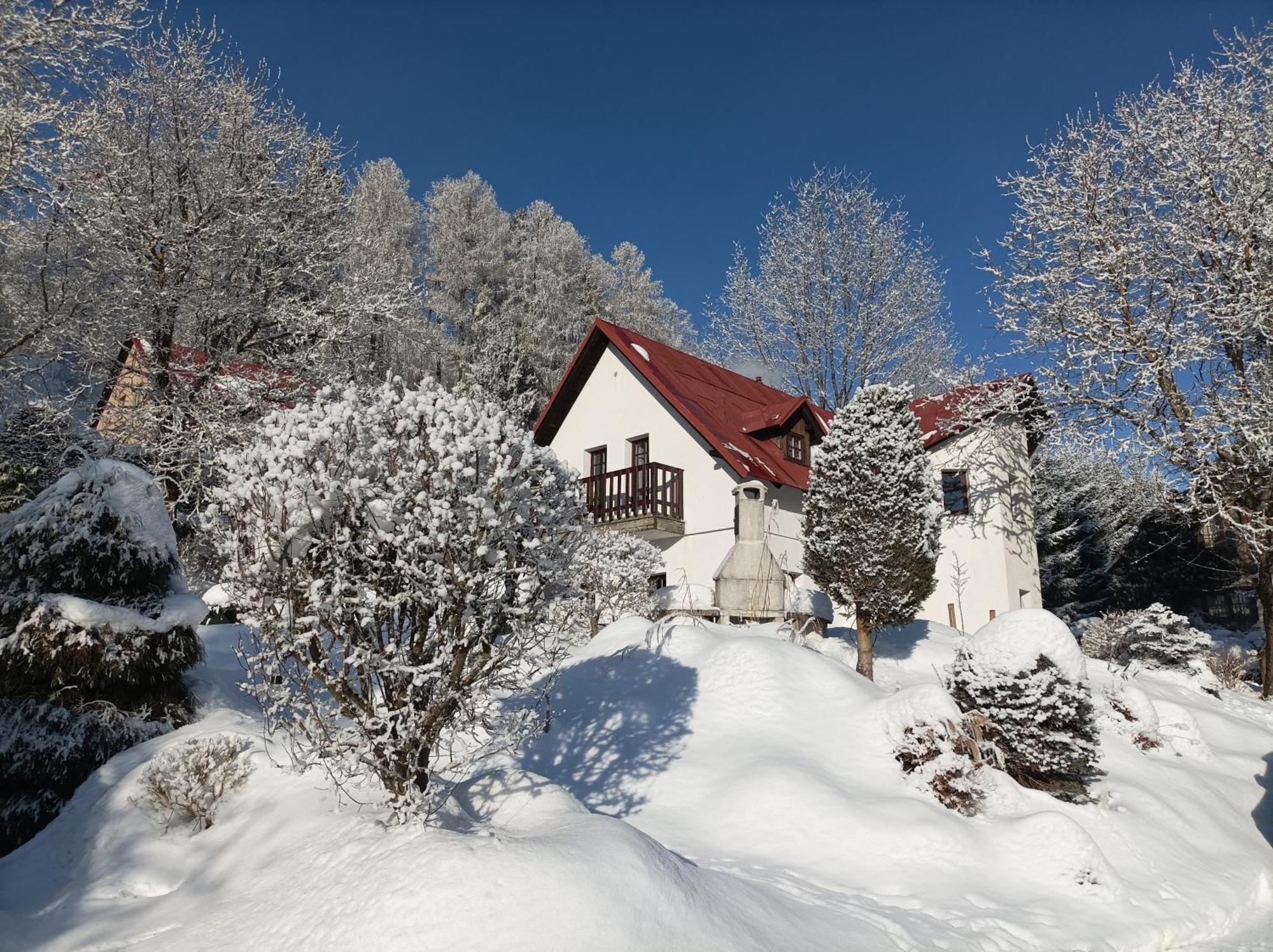 Pension Doro Černý Důl Exteriér fotografie
