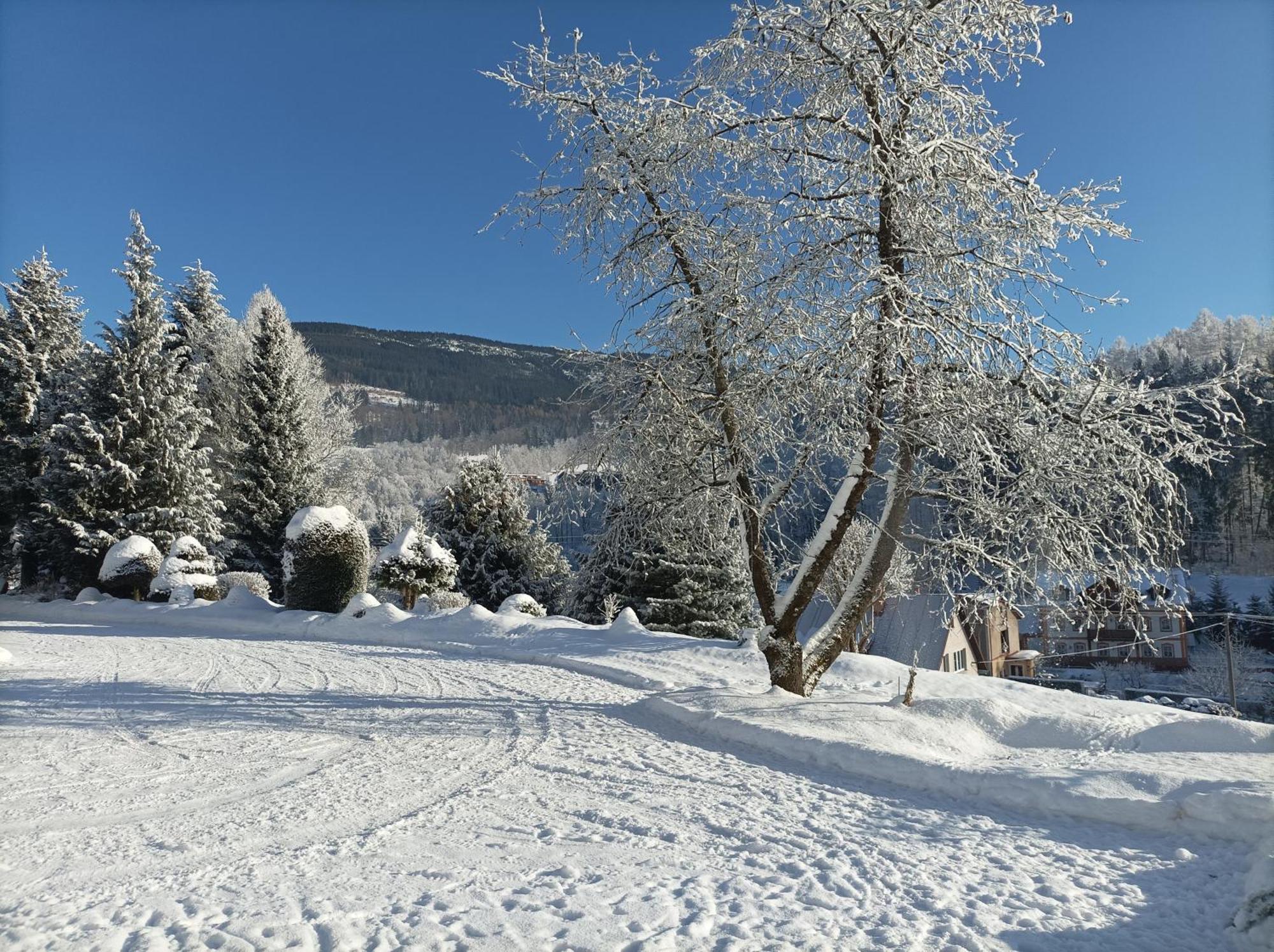 Pension Doro Černý Důl Exteriér fotografie